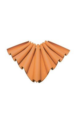 canto-110
